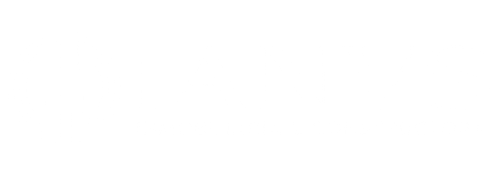 IANVS Inmobiliaria & Constructora